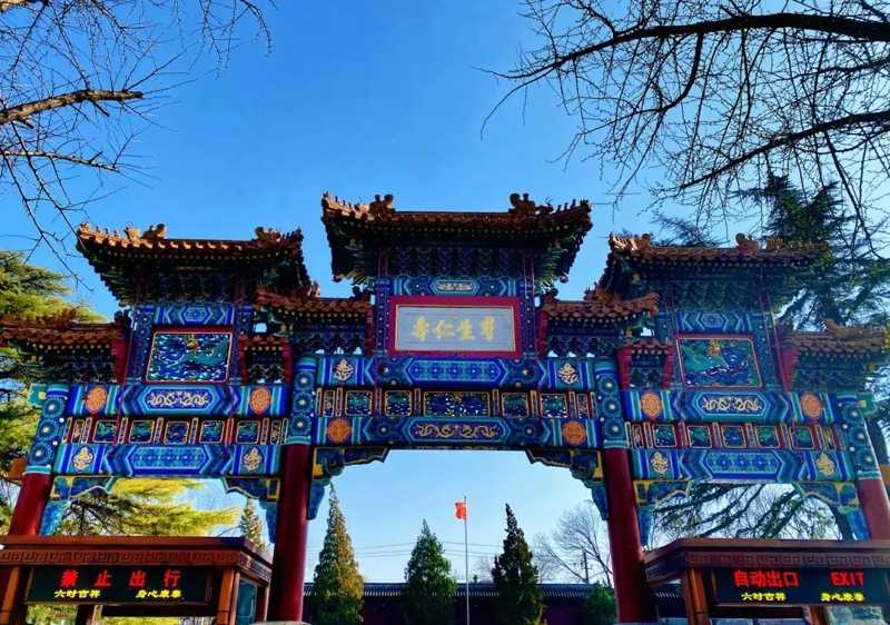 北京植物园团建＠北京植物园网红打卡-第2张图片