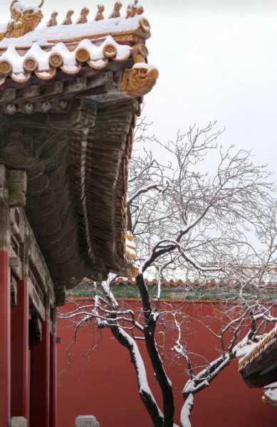 北京旅游当地团报价❤️北京旅游低价团❤️-第1张图片
