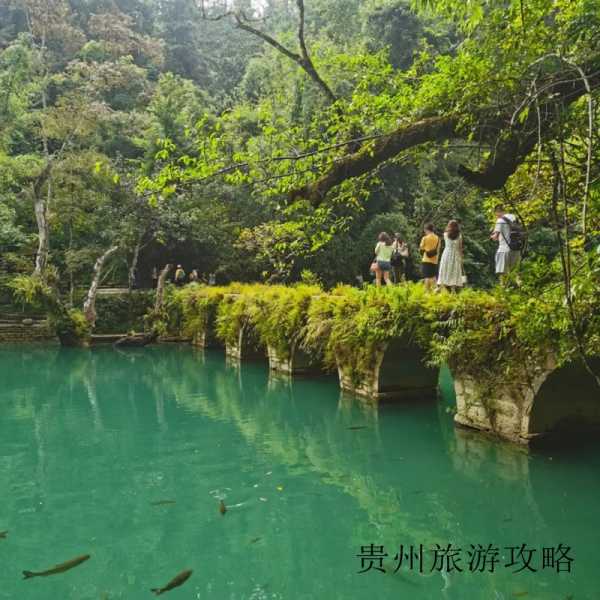 贵州知名旅游景点❤️贵州旅游有名景点❤️-第3张图片