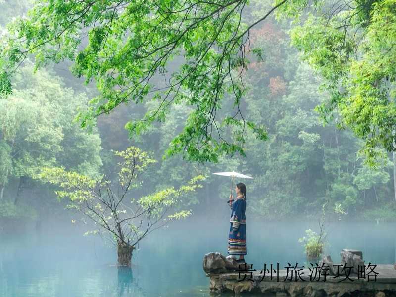 贵州森林旅游景点❤️贵州森林旅游景点介绍❤️-第3张图片