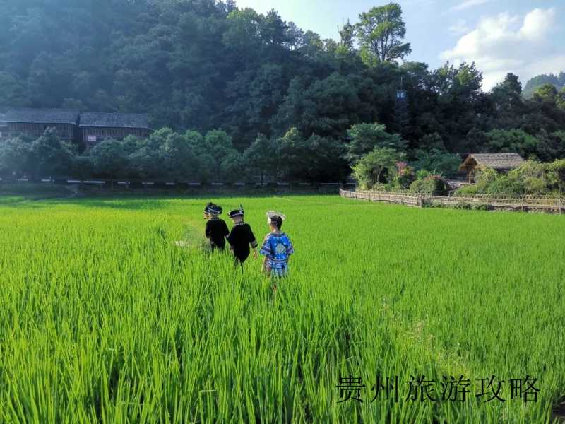 5月贵州旅游景点推荐❤️5月贵州旅游攻略❤️-第3张图片